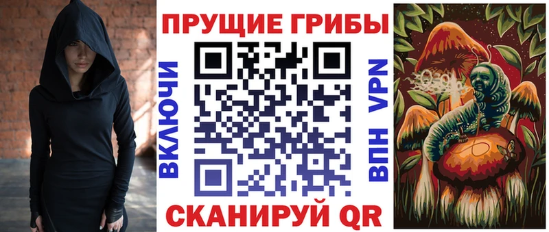 Галлюциногенные грибы Psilocybe  гидра ссылка  Оленегорск 